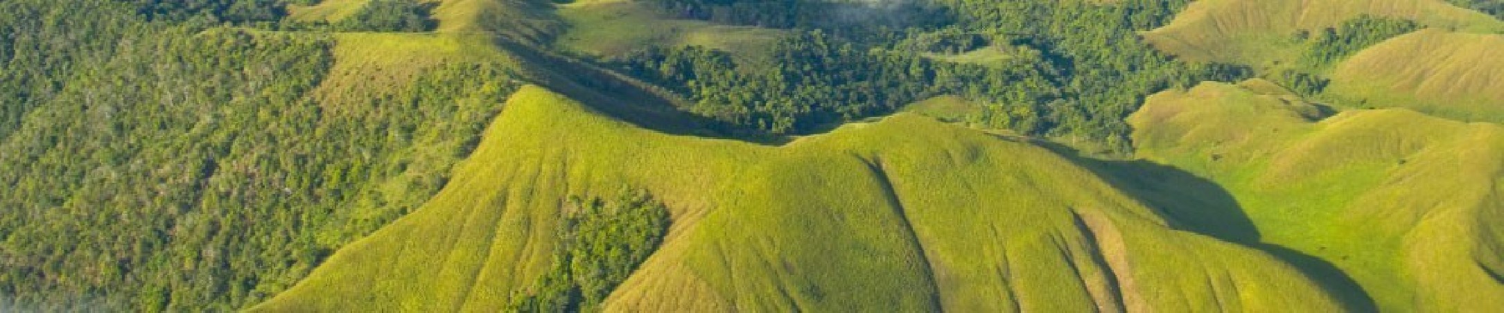 Papua Neuguinea FAIRTRADE