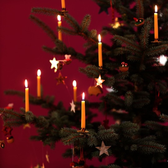 Christbaum-Kerzen, 24 Stück